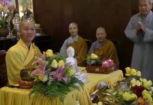 Cành Dương Nước Tịnh – Thích Minh Thành canh duong nuoc tinh thich minh