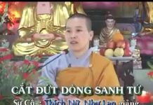 Cắt Đứt Dòng Sanh Tử – Thích Nữ Như Lan cat dut dong sanh tu thich nu nh