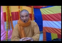 Cắt Tóc Gieo Duyên Xuất Gia – Thích Tuệ Hải cat toc gieo duyen xuat gia thic