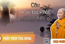 Câu A Di Đà Phật Nói Lên Điều Gì – Thích Phước Tiến cau a di da phat noi len dieu gi