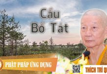 Cầu Bồ Tát – Thích Trí Quảng cau bo tat thich tri quang