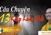 Câu Chuyện 13 Kiếp Luân Hồi – Thích Thiện Tuệ cau chuyen 13 kiep luan hoi thic