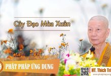 Cây Đạo Mùa Xuân – Thích Trí Quảng cay dao mua xuan thich tri quang