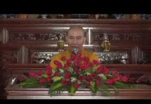 Cây Sala Xanh Tốt – Thích Tâm Đức cay sala xanh tot thich tam duc