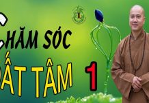 Chăm Sóc Đất Tâm Phần 1 – Thích Pháp Hòa cham soc dat tam phan 1 thich ph