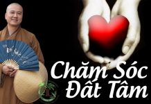 Chăm Sóc Đất Tâm Phần 2 – Thích Pháp Hòa cham soc dat tam phan 2 thich ph