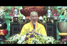 Chân Dung Đức Phật phần 1 – Thích Thiện Thuận chan dung duc phat phan 1 thich