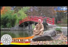 Chân Dung Phật Tử (Vấn Đáp) – Thích Nhật Từ chan dung phat tu van dap thich