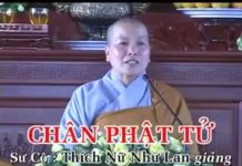 Chân Phật Tử – Thích Nữ Như Lan chan phat tu thich nu nhu lan