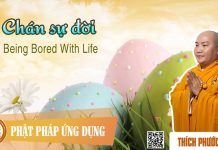 Chán Sự Đời English Subtitle (Being Bored With Life) – Thích Phước Tiến chan su doi english subtitle bei