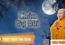 Chán Sự Đời – Thích Phước Tiến chan su doi thich phuoc tien