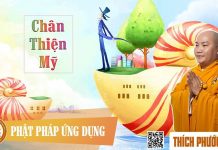 Chân Thiện Mỹ – Thích Phước Tiến chan thien my thich phuoc tien