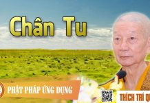 Chân Tu – Thích Trí Quảng chan tu thich tri quang