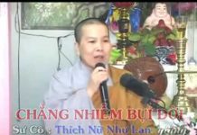 Chẳng Nhiễm Bụi Đời – Thích Nữ Như Lan chang nhiem bui doi thich nu nhu