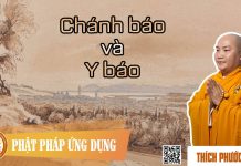 Chánh Báo Và Y Báo – Thích Phước Tiến chanh bao va y bao thich phuoc t