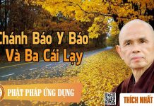 Chánh Báo Y Báo Và Ba Cái Lạy – Thích Nhất Hạnh chanh bao y bao va ba cai lay th