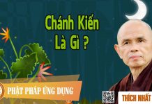 Chánh Kiến Là Gì ? – Thích Nhất Hạnh chanh kien la gi thich nhat hanh