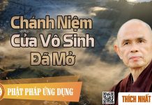 Chánh Niệm Cửa Vô Sinh Đã Mở – Thích Nhất Hạnh chanh niem cua vo sinh da mo thi