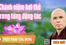 Chánh Niệm Hơi Thở Trong Mỗi Động Tác – Thích Nhất Hạnh chanh niem hoi tho trong moi don