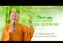 Chánh niệm qua thân thể, cảm giác, tâm và các pháp – Thích Nhật Từ chanh niem qua than the cam giac