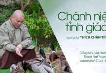 Chánh Niệm Tỉnh Giác – Thích Chân Tính chanh niem tinh giac thich chan