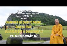 Chánh Niệm Với Quán Vô Thường, Quán Lìa Tham, Quán Đoạn Diệt Và Buông Xả – Thích Nhật Từ chanh niem voi quan vo thuong qu