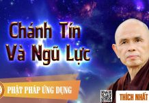 Chánh Tín Và Ngũ Lực – Thích Nhất Hạnh chanh tin va ngu luc thich nhat