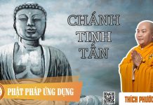 Chánh Tinh Tấn – Thích Phước Tiến chanh tinh tan thich phuoc tien