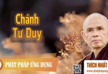 Chánh Tư Duy – Thích Nhất Hạnh chanh tu duy thich nhat hanh