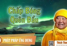Chấp Bóng Quên Đầu – Thích Thanh Từ chap bong quen dau thich thanh t