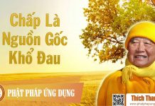 Chấp Là Nguồn Gốc Đau Khổ – Thích Thanh Từ chap la nguon goc dau kho thich
