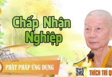 Chấp Nhận Nghiệp – Thích Trí Quảng chap nhan nghiep thich tri quang