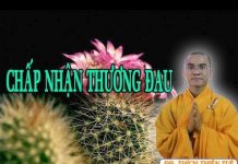 Chấp Nhận Thương Đau – Thích Thiện Tuệ chap nhan thuong dau thich thien