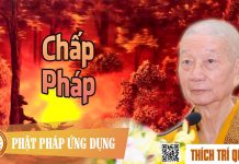 Chấp Pháp – Thích Trí Quảng chap phap thich tri quang 1