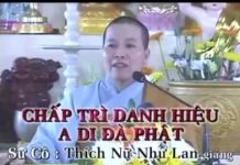 Chấp Trì Danh Hiệu A Di Đà Phật – Thích Nữ Như Lan chap tri danh hieu a di da phat