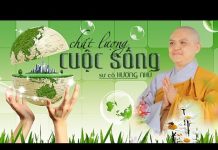 Chất Lượng Cuộc Sống – Thích Nữ Hương Nhũ chat luong cuoc song thich nu hu
