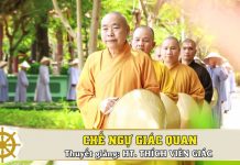 Chế Ngự Giác Quan – Thích Viên Giác che ngu giac quan thich vien gia