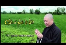Chết Có Phải Là Hết – Thích Thiện Thuận chet co phai la het thich thien