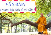 Chết đi về đâu? – Thích Nhật Từ chet di ve dau thich nhat tu