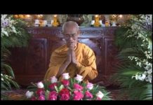 Chết Như Tế Dê – Thích Giác Đăng chet nhu te de thich giac dang