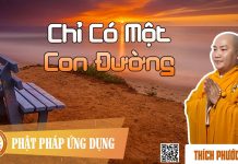 Chỉ Có Một Con Đường – Thích Phước Tiến chi co mot con duong thich phuoc
