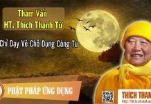 Chỉ Dạy Về Chỗ Dụng Công Tu – Tham vấn HT Thích Thanh Từ 23 chi day ve cho dung cong tu tham
