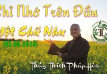 Chỉ Nhớ Trên Đầu Một Chữ Như – Thích Pháp Hòa chi nho tren dau mot chu nhu thi
