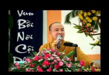 Chiếc Bóng Thầm Lặng – Thích Trí Huệ chiec bong tham lang thich tri h
