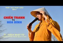 Chiến Tranh Và Hòa Bình – Thích Nhật Từ chien tranh va hoa binh thich nh