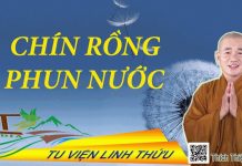 Chín Rồng Phun Nước – Thích Thiện Xuân chin rong phun nuoc thich thien 1