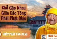 Chỗ Gặp Nhau Giữa Các Tông Phái Phật Giáo – Thích Thanh Từ cho gap nhau giua cac tong phai