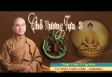 Chỗ Nương Tựa Phần 3 (vấn đáp) – Thích Pháp Hòa cho nuong tua phan 3 van dap thi