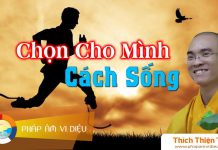 Chọn Cho Mình Cách Sống – Thích Thiện Tuệ chon cho minh cach song thich th