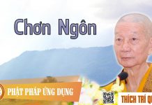 Chơn Ngôn – Thích Trí Quảng chon ngon thich tri quang